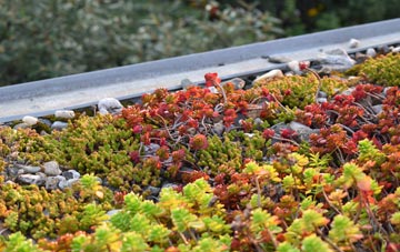the cost of Kippen green roof installation