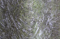 Kippen fibreglass roof work